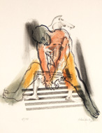Hannes Scheucher